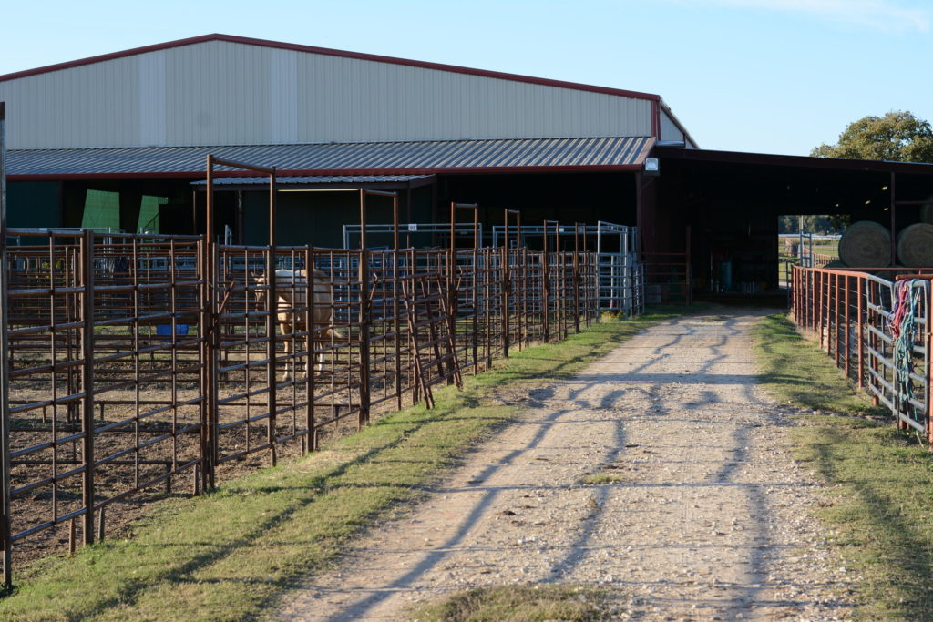 4C’s Rodeo Ranch Stephenville Tourism and Visitors Bureau